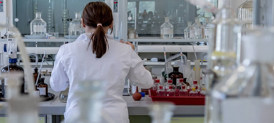 Quebec Busca Estudiantes Y Profesionales En Investigación 